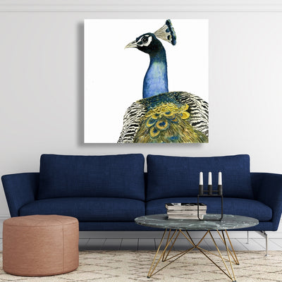 Watercolor Peacock, Fine art gallery wrapped canvas 16x48