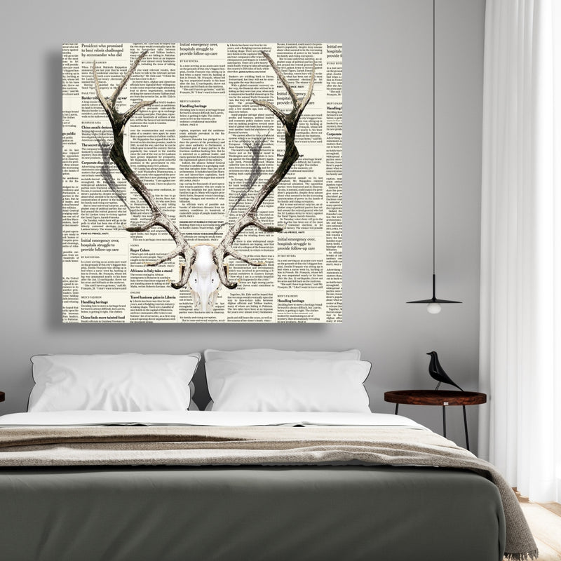 Deer Horns On Newspaper, Fine art gallery wrapped canvas 24x36