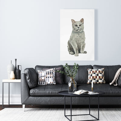 British Shorthair Cat, Fine art gallery wrapped canvas 24x36