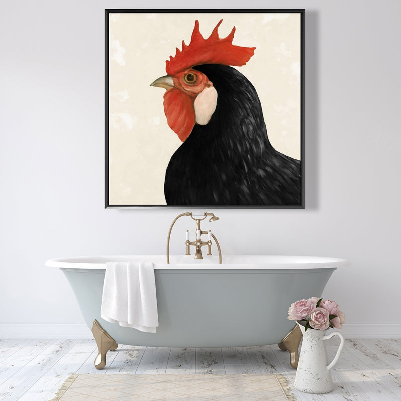 Beautilful Black Hen, Fine art gallery wrapped canvas 36x36