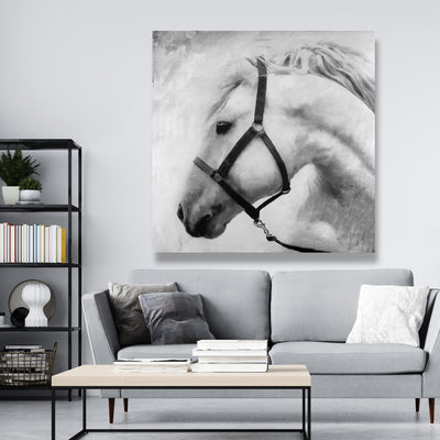 Darius The Horse, Fine art gallery wrapped canvas 36x36