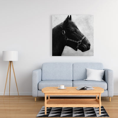 Gallopin The Horse, Fine art gallery wrapped canvas 24x36