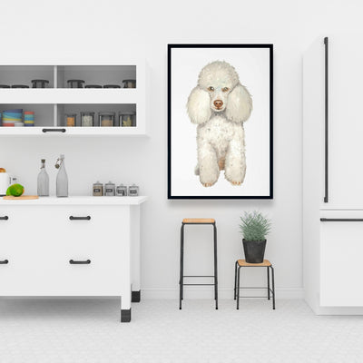 French Poodle, Fine art gallery wrapped canvas 24x36