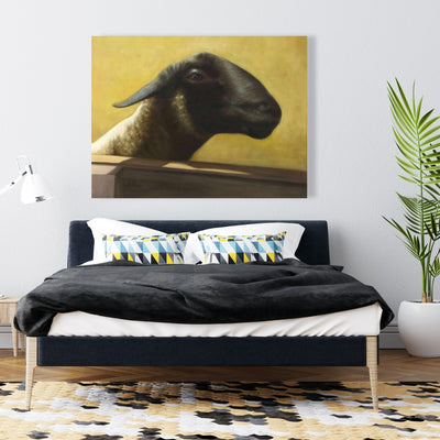 Young Ram, Fine art gallery wrapped canvas 24x36