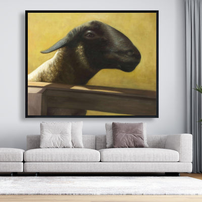 Young Ram, Fine art gallery wrapped canvas 24x36