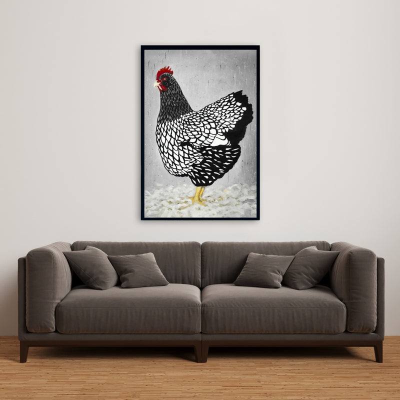 Black And White Wyandotte Hen, Fine art gallery wrapped canvas 24x36