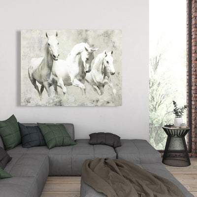 Three White Horses Running, Fine art gallery wrapped canvas 24x36