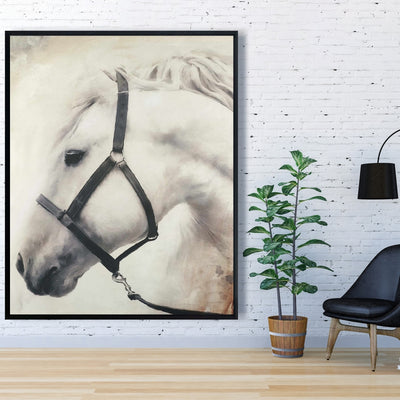 Darius The White Horse, Fine art gallery wrapped canvas 24x36