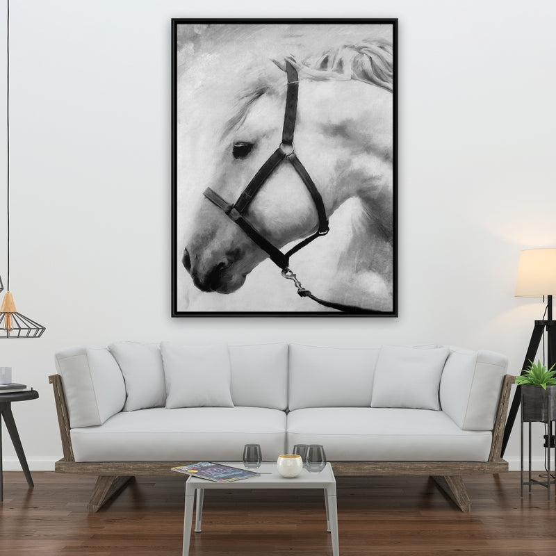Darius The Horse, Fine art gallery wrapped canvas 36x36
