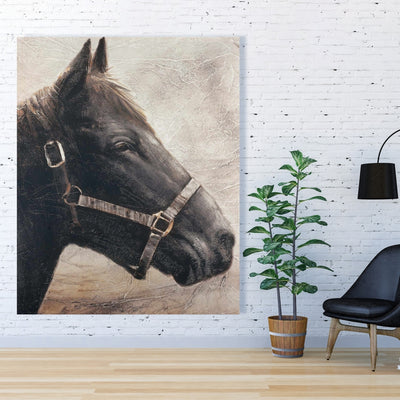 Gallopin The Brown Horse, Fine art gallery wrapped canvas 24x36