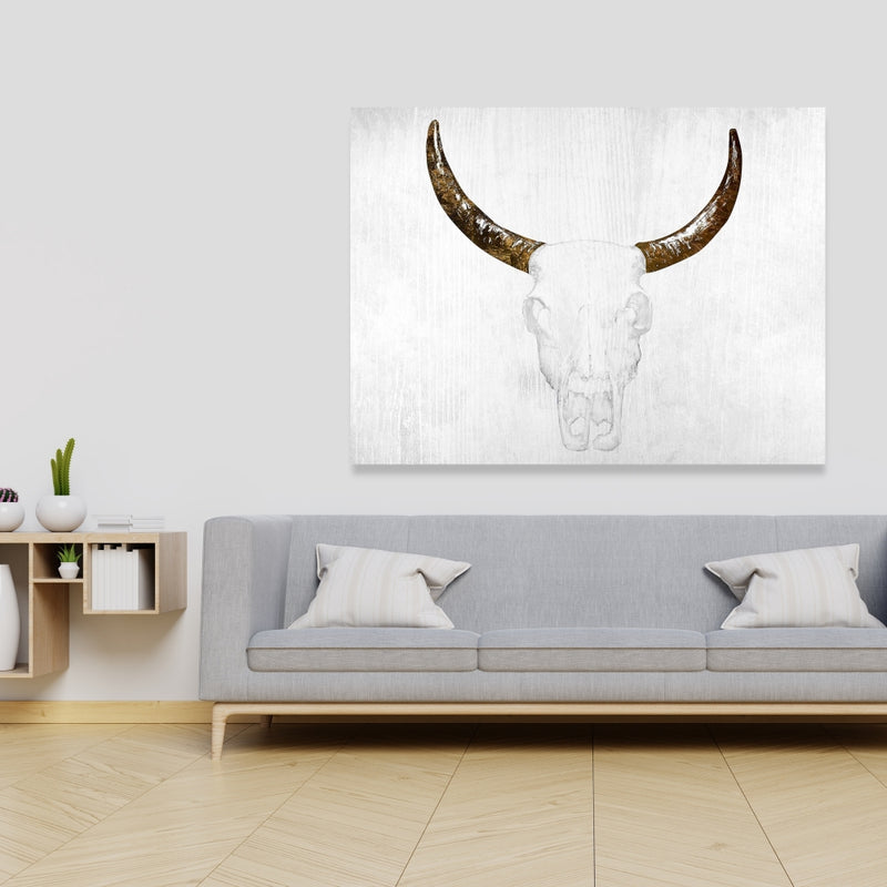 Bull Skull With Brown Horns, Fine art gallery wrapped canvas 36x36