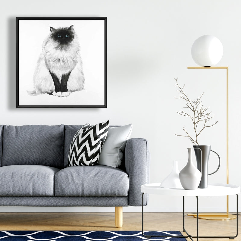 Blue Eyes Fluffy Siamese Cat, Fine art gallery wrapped canvas 24x36