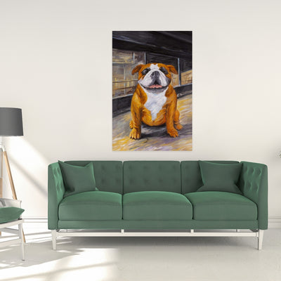 Smiling Bulldog, Fine art gallery wrapped canvas 24x36