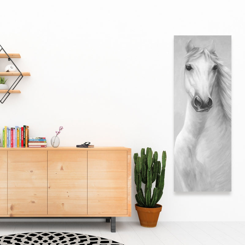 Monochrome Mighty White Horse, Fine art gallery wrapped canvas 16x48