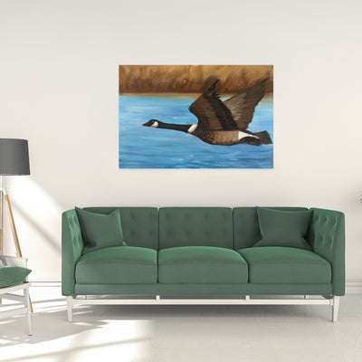 Canada Goose, Fine art gallery wrapped canvas 24x36