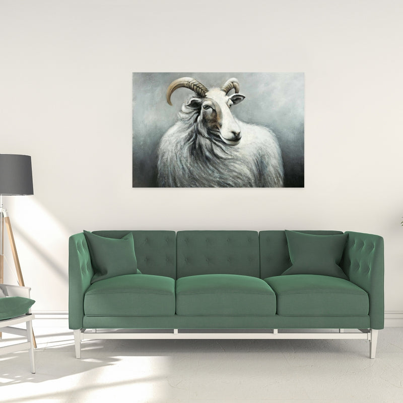 Cashmere Goat, Fine art gallery wrapped canvas 24x36