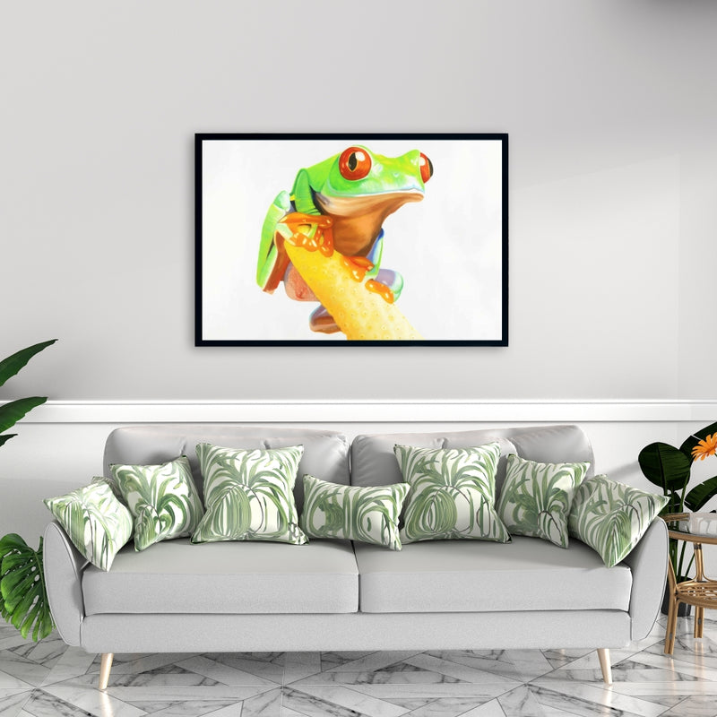 Curious Red Eyed Frog, Fine art gallery wrapped canvas 24x36