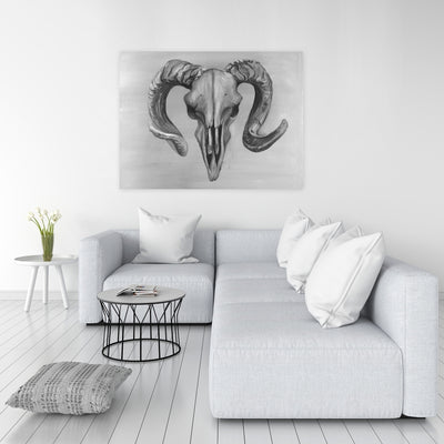 Grayscale Aries Skull, Fine art gallery wrapped canvas 36x36