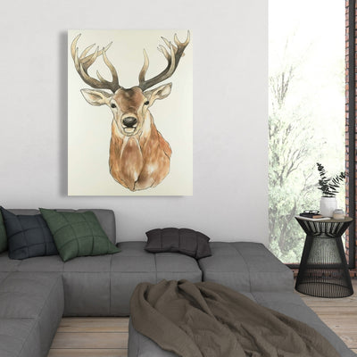 Front Deer Portrait, Fine art gallery wrapped canvas 36x36