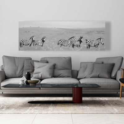 Zebras In The Savannah, Fine art gallery wrapped canvas 16x48