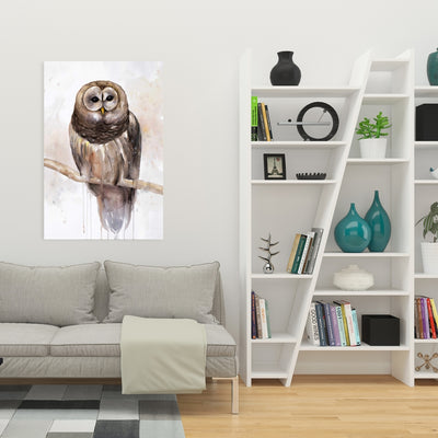 Barred Owl, Fine art gallery wrapped canvas 24x36