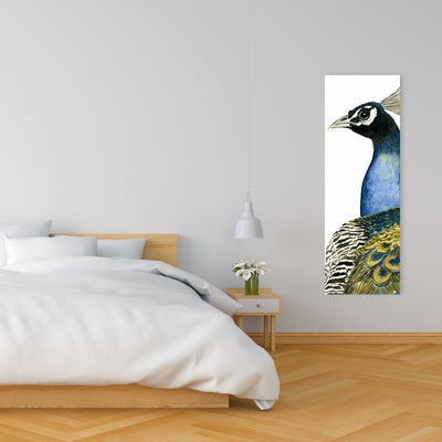 Watercolor Peacock, Fine art gallery wrapped canvas 16x48
