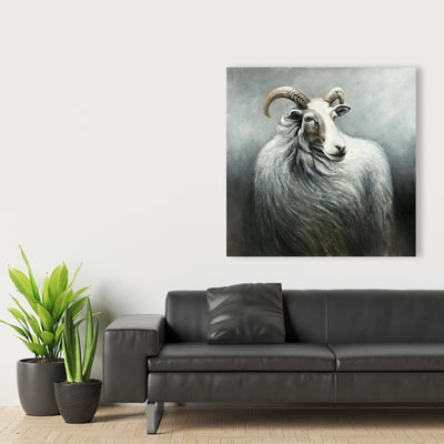 Cashmere Goat, Fine art gallery wrapped canvas 24x36